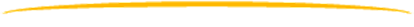 Line under company Name
